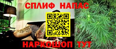 apvp Камышлов