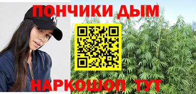 apvp Камышлов