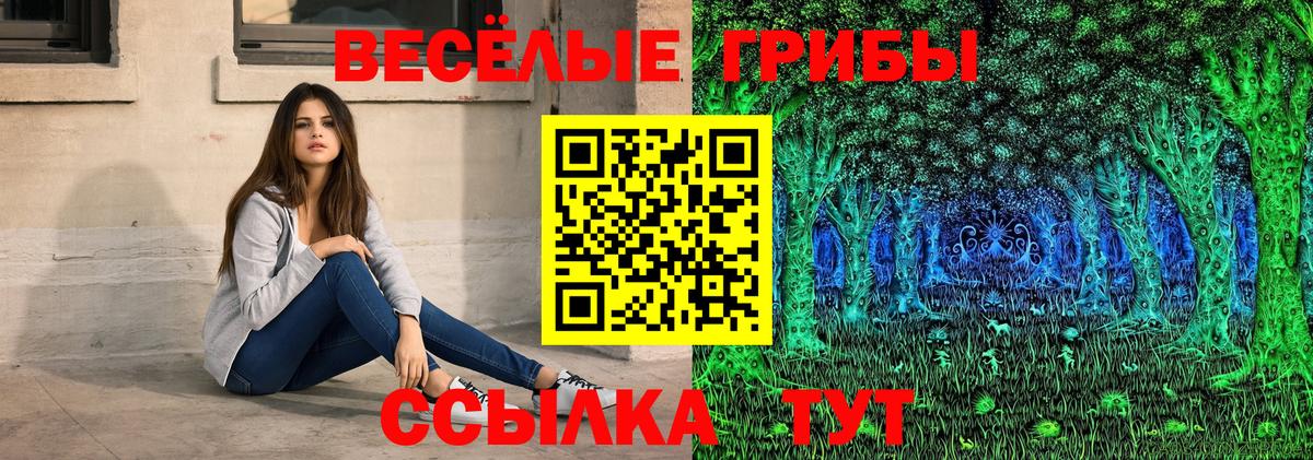 Галлюциногенные грибы GOLDEN TEACHER  Вход с VPN  Кузнецк 